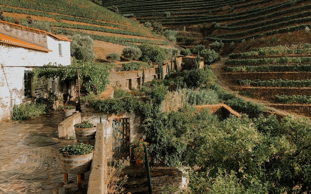 NORTH OF PORTUGAL WITH DOURO CRUISES